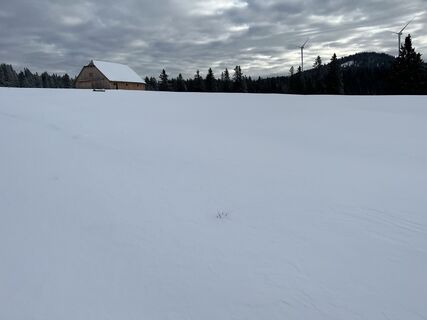 Foto von H_B entlang der Tour