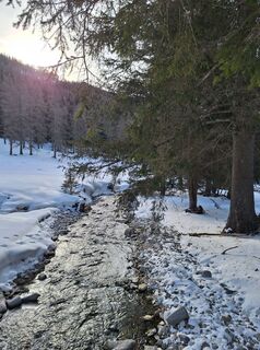 Fotografia z Dagmar Hofer na trase