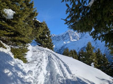 Foto von Guillaume Oriez entlang der Tour