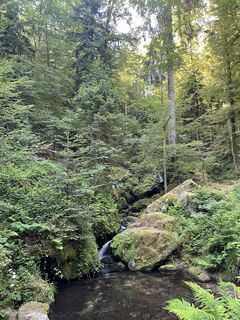 Photo de Ralf Umminger le long du parcours