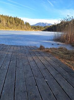 Fotografia z Dagmar Hofer na trase