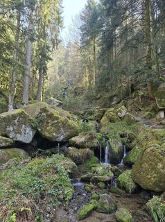 Photo de Michel Kennel le long du parcours