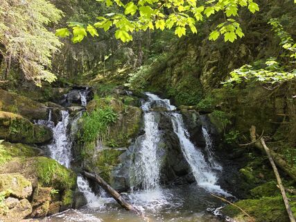 Photo de Noreen (NoKe) le long du parcours