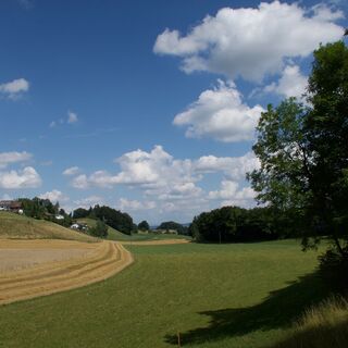 Landschaft vor Hofmatt Grubenfeld - Gürbetaler Höhenweg