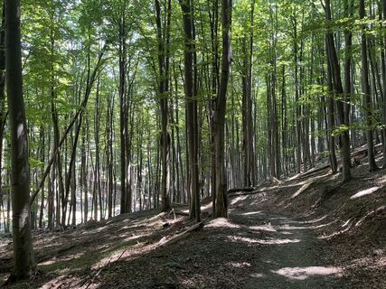 Foto de Ágnes Kecskés a lo largo del recorrido