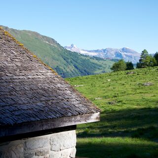 Die Alp Mandelon
