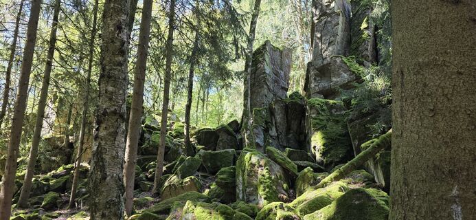 Foto von Silke Vonderlehr entlang der Tour