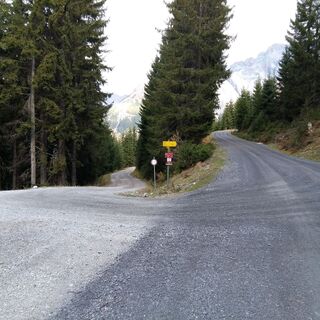 Forststraße zur Bürglalm