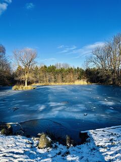 Zdjęcie z Kellner Heidi wzdłuż trasy
