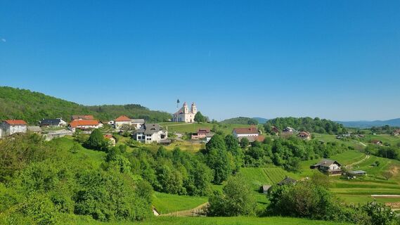 Photo de Grizli le long du parcours