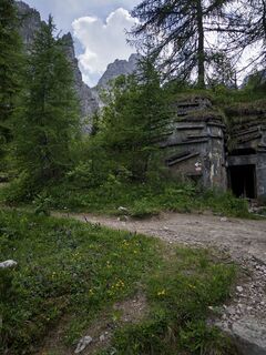 Photo de Berry de haas le long du parcours