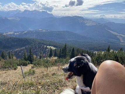 Foto von BineM & Coby ? entlang der Tour