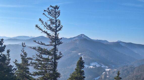 Foto von Regina Fleischmann entlang der Tour