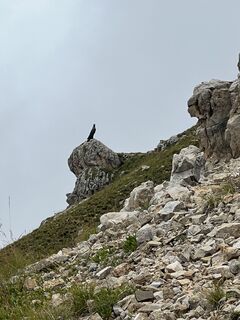 Foto från Karsten Beer under resans gång