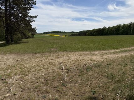 Foto von Thomas Brümmer entlang der Tour