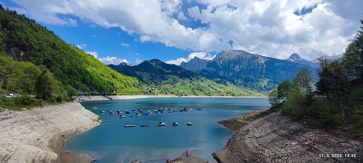 Fotografie z karči a lajči na trase
