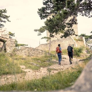 Zemljevid