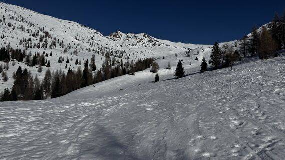 Fotografija s spletne strani ROBERTO BONIOTTI na poti