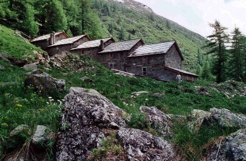 Eiu Alp