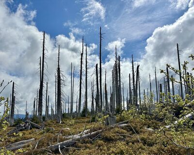 Fotó a Dani Geiger / Natur_erleben_dg honlapról a túra során