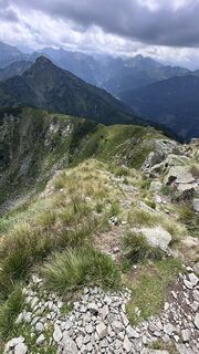 Foto von Mountain Cat ? ⛰️ entlang der Tour