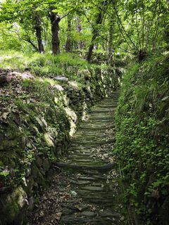 Photo de Stefano Fabi le long du parcours