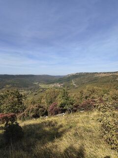 Photo de Igor Vuković le long du parcours