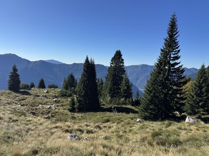Fotografija s spletne strani Sabine Monay na poti