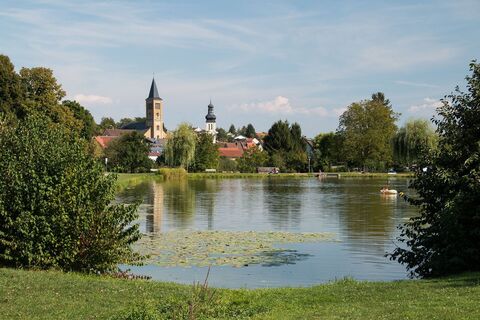 Elsenzer See | Badesee Eppingen | HeilbronnerLand