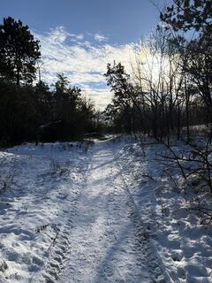 Fotografia z Attila Máté na trase