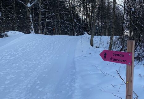 Aufnahme des Winterwanderwegs entlang dem Kunstpfad in Trun.