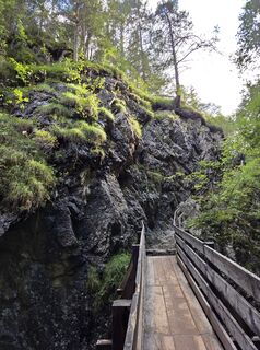 Fotografie de la Michael Hohlfeld de-a lungul turului