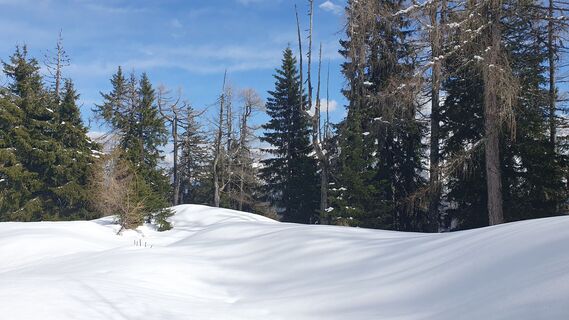 Photo de Anica varga le long du parcours