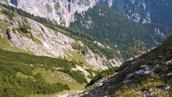 Bild 0