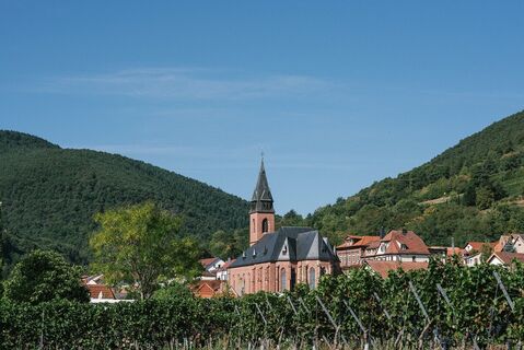 Blick auf die Kirche St. Martin