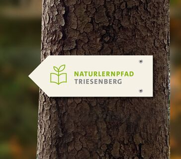 Naturlernpfad Triesenberg