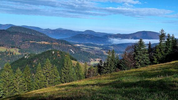 Фото с сайта Regina Fleischmann во время экскурсии