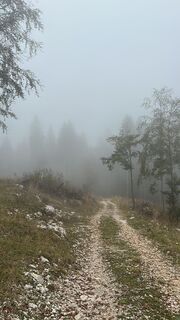 Fotografija s spletne strani zVan02 MONTAGE na poti