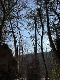 Fotografie z RS76 na trase