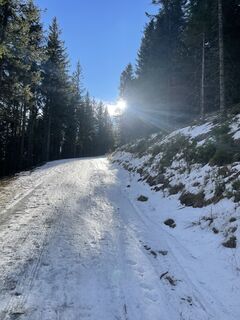 Foto von Gregor Leutgeb entlang der Tour