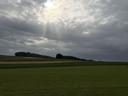 Fotografija s spletne strani Schaali na poti
