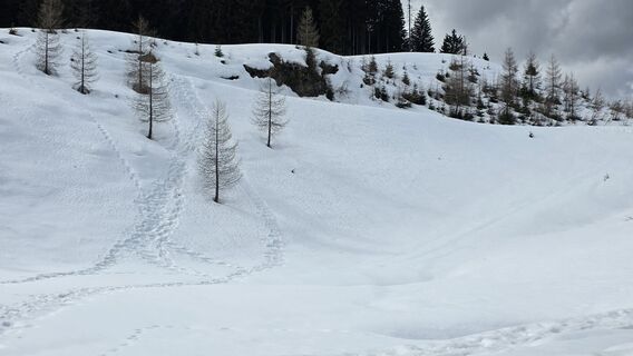 Foto von euterpe42 entlang der Tour