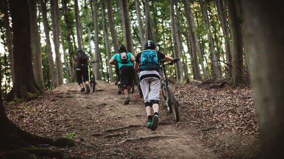MTB Wienerwald