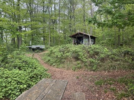 Foto de Gregor Schalhorn a lo largo del recorrido