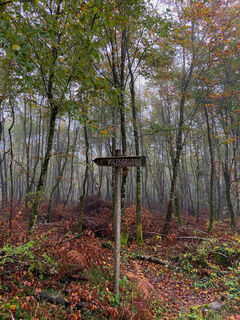 Wanderung 1 Rötteln Tour