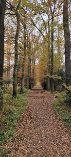 Photo de Reinier Sterkenburg le long du parcours
