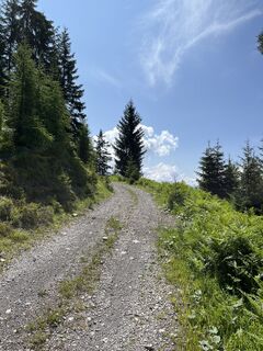 Foto von Heinz Sperl entlang der Tour