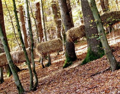 Galoppierende Strohhaufen