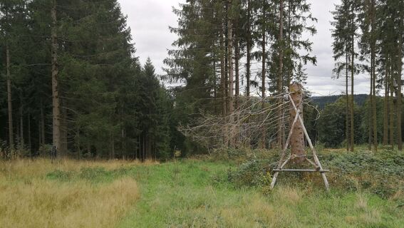 Zwischen Sieglitzbach und Kulmberg