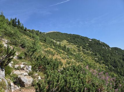 Photo de Kristijan Tomazic le long du parcours